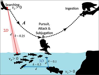 Interaction Dimensionality Scales Up to Generate Bimodal Consumer-Resource Size-Ratio Distributions in Ecological Communities